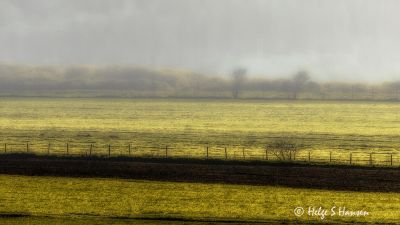 "Morning has broken".
Ved Nordhassel.
Keywords: Nordhassel