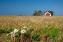 Filename=Sensommer_pa_Midthassel__220924_3561.jpg
Filesize=146KiB
Dimensions=1300x867
Date added=Jan 02, 2025 Sensommer_pa_Midthassel__220924_3561.jpg