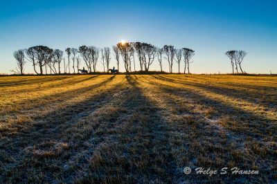 Vintersol
Keywords: Kviljo