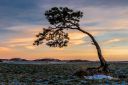 Filename=Huseby-_120124_4328.jpg
Filesize=146KiB
Dimensions=1300x867
Date added=Feb 29, 2024 Huseby-_120124_4328.jpg