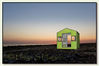 Filename=Haapet_er_lysegroennt.jpg
Filesize=76KB
Dimensions=803x536
Date added=Mar 19, 2009 Haapet_er_lysegroennt.jpg