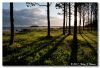 Solgløtt~4.jpg