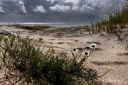 Austre-Hauge-Falkhaugsanden-strandbalderbra_050926_0708.jpg