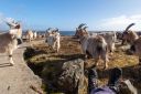 I_godt_selskap_220324_0768.jpg