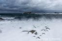 Vinter-Kongeveien-og-Austre-Hauge_310126_7026.jpg
