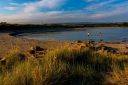 Sommerkveld-ved-Skiphaugsanden_240725_4164.jpg