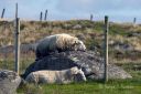 Listalandskap_-_det_gode_liv_140924_3231.jpg