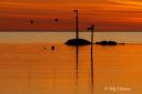 Verevagen_-_atter_en_solnedgang_250425_1462.jpg