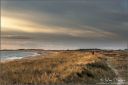 Kyststien-ved-Hananger_180119_2493.jpg