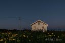 Den_bla_timen_pa_Penne_140524_1342.jpg