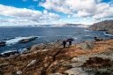Tursti_Hale-Snekkesto_240324_0777.jpg