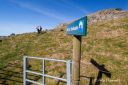 Tursti_Hale_-_Snekkesto__253103_0820.jpg