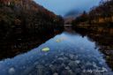 Straumen_naturreservat_051125_6162.jpg