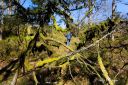 Tur_Vagasen_i_Spind_180425_1273.jpg