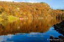 Vage_i_Spind_051122_2319.jpg